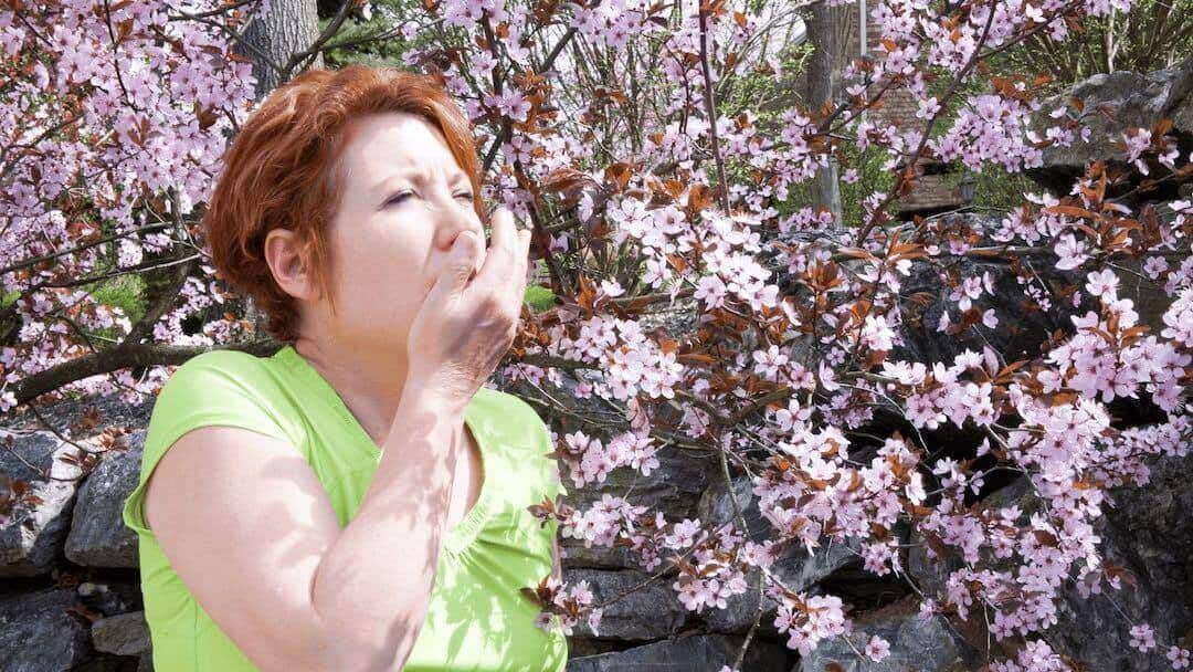 Woman sneezing in front of a tree with pink flowers