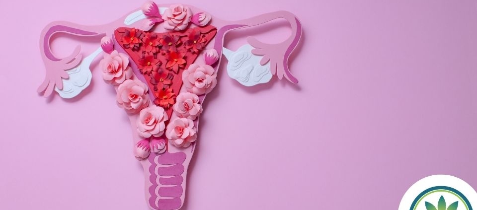 A uterus made in pink paper with pink flowers