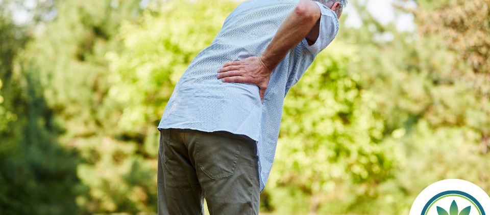 Old man with back pain holding his lower back