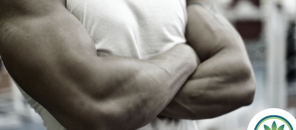 Muscular man in white t shirt, crossing his arms