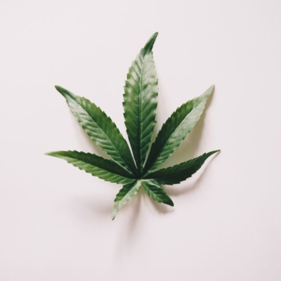 What is CBD