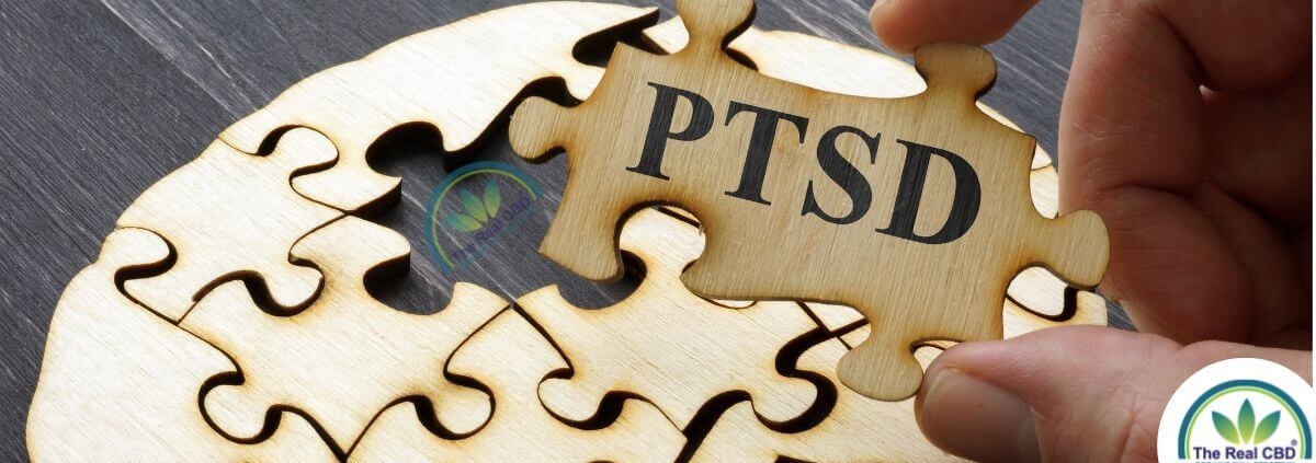 PTSD-Puzzle