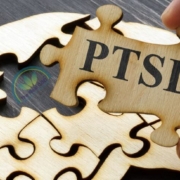 PTSD-Puzzle