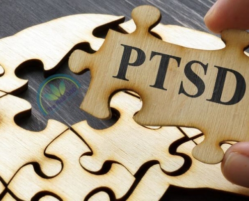 PTSD puzzle