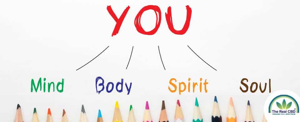 Pointe des crayons de couleur pointant vers les mots "MIND BODY SPIRIT SOUL" (esprit, corps, âme)