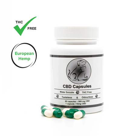 CBD capsules for pets - The Real CBD Brand