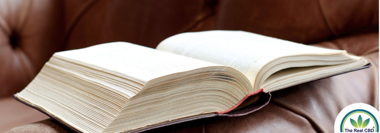 Big book open on a leather sofa