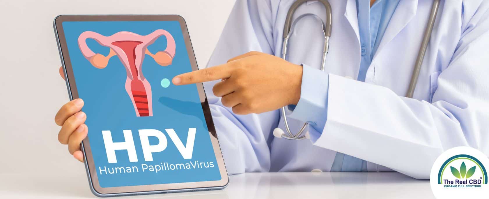 Doctor pointing on tablet with HPV uterus on it