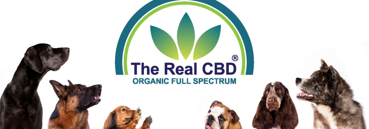 Alignement de chiens avec le logo The Real CBD