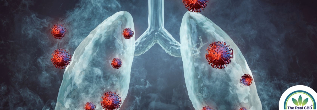 Illustration of lungs with floating bacteria