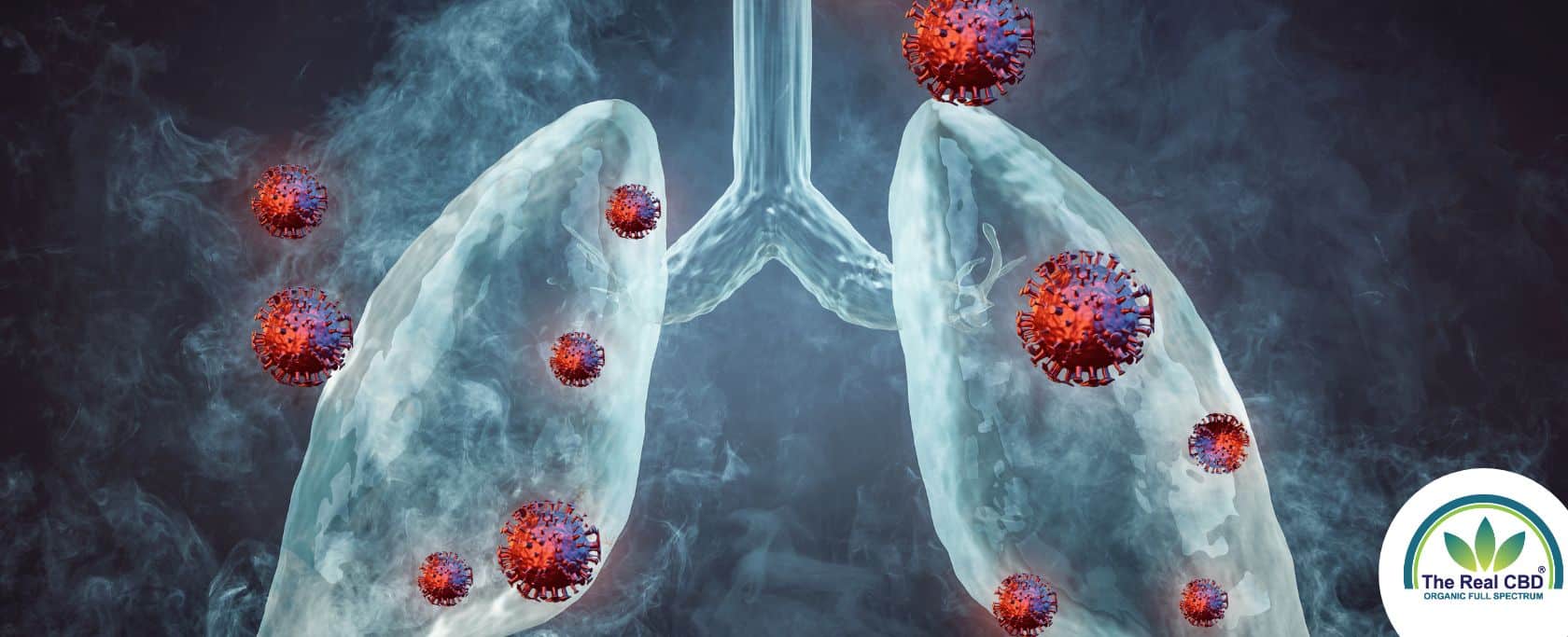 Illustration of lungs with floating bacteria