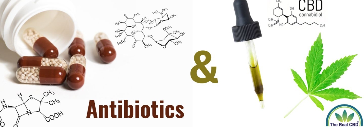 Capsules d'antibiotiques et Pipette avec de l'huile de CBD