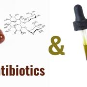 Antibiotika-Kapseln und Pipette mit CBD-Öl