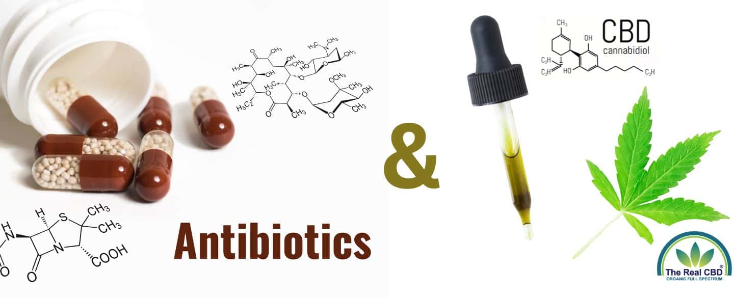 Antibiotika-Kapseln und Pipette mit CBD-Öl