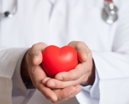 Doctor holding a red plastic heart