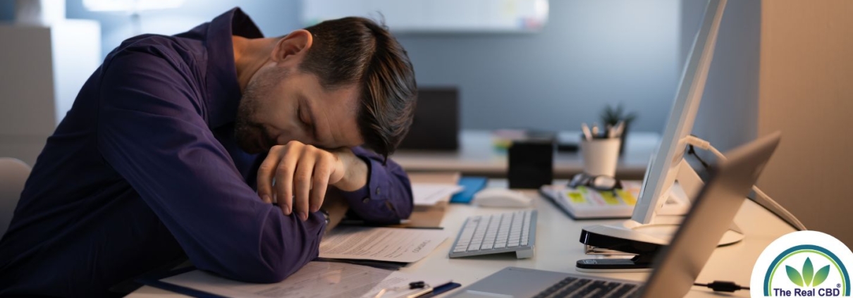 Mann schläft an einem Bürotisch mit mehreren Computern