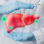 Gloved doctor framing a liver with his hands