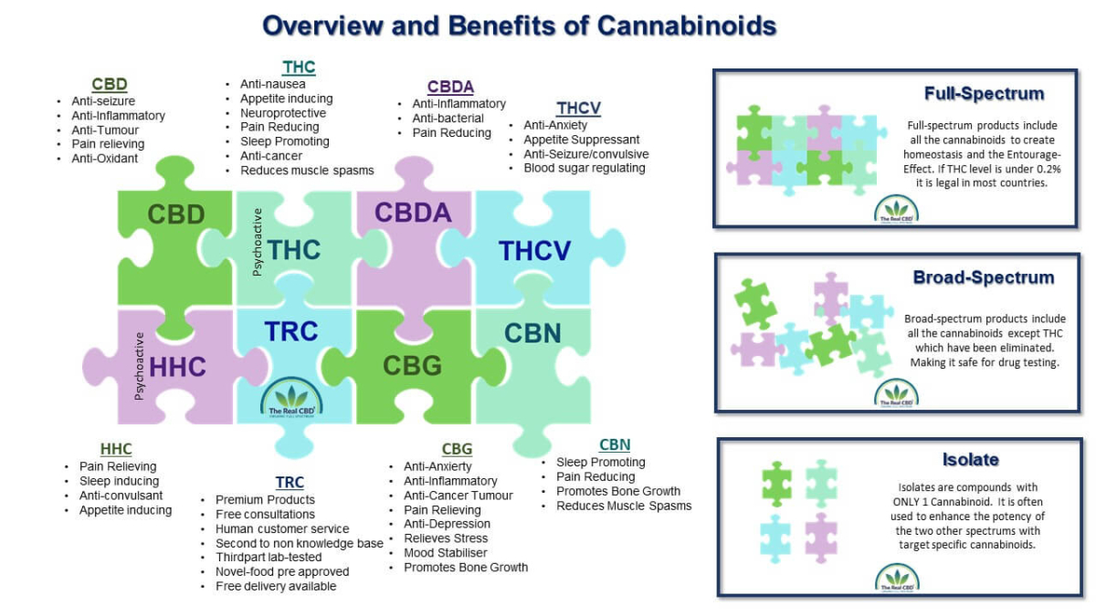 Le vrai CBD Aperçu des cannabinoïdes Infographie