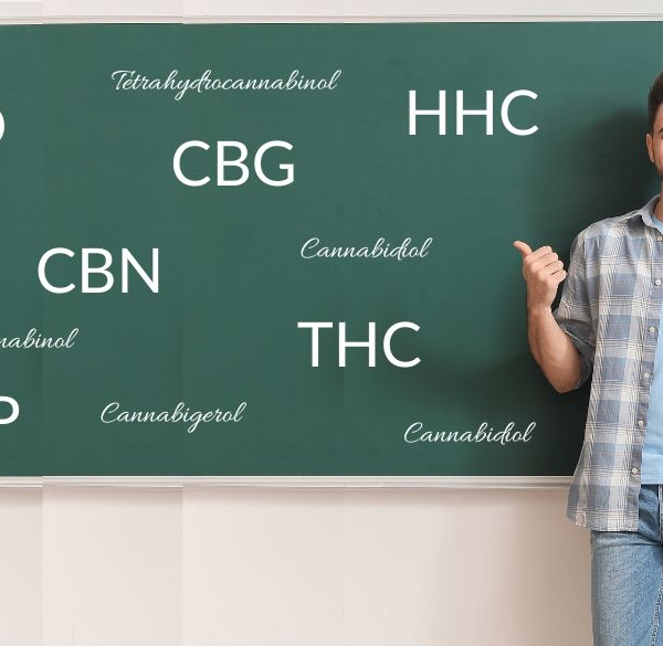 Teacher in front of blackboard with cannabinoid abbreviations on