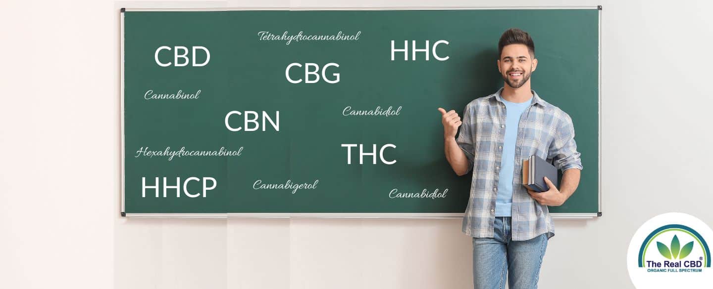 Teacher in front of blackboard with cannabinoid abbreviations on