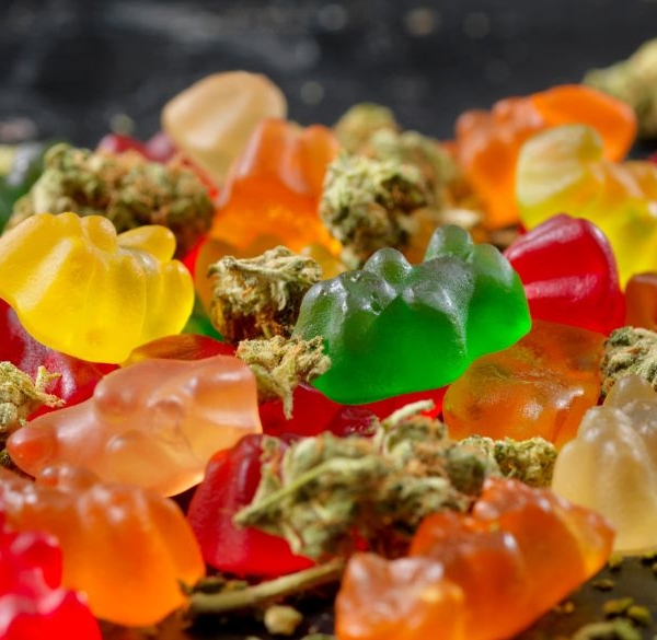 Gummy Bears and dried hemp flowers in a mix