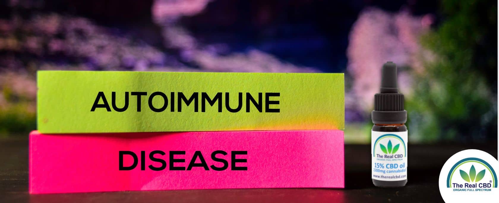 Neon paper with AUTOIMMUNE DISEASE words on