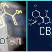 Chemische Formel von CBD und Ibuprofen