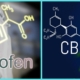 Chemistry formula of CBD and Ibuprofen