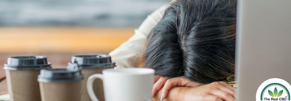 Frau schlafend auf Tisch mit mehreren Kaffeetassen auf