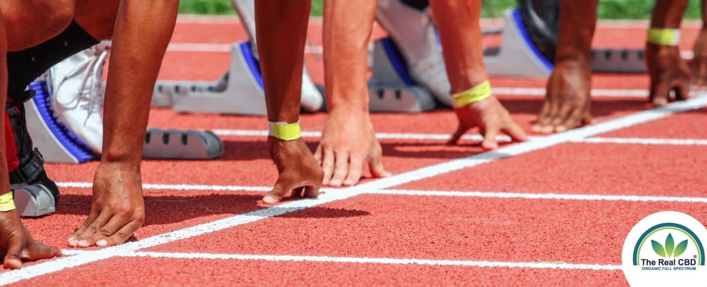 Hände von Läufern an der Startlinie, bereit zum Start eines Rennens