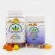 Multivitamin gummies and 15mg CBD vegan Gummies - The Real CBD Brand