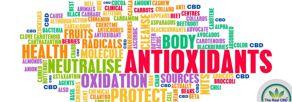 Antioxidant word soup