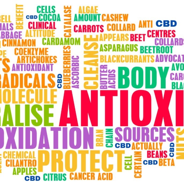 Antioxidant word soup