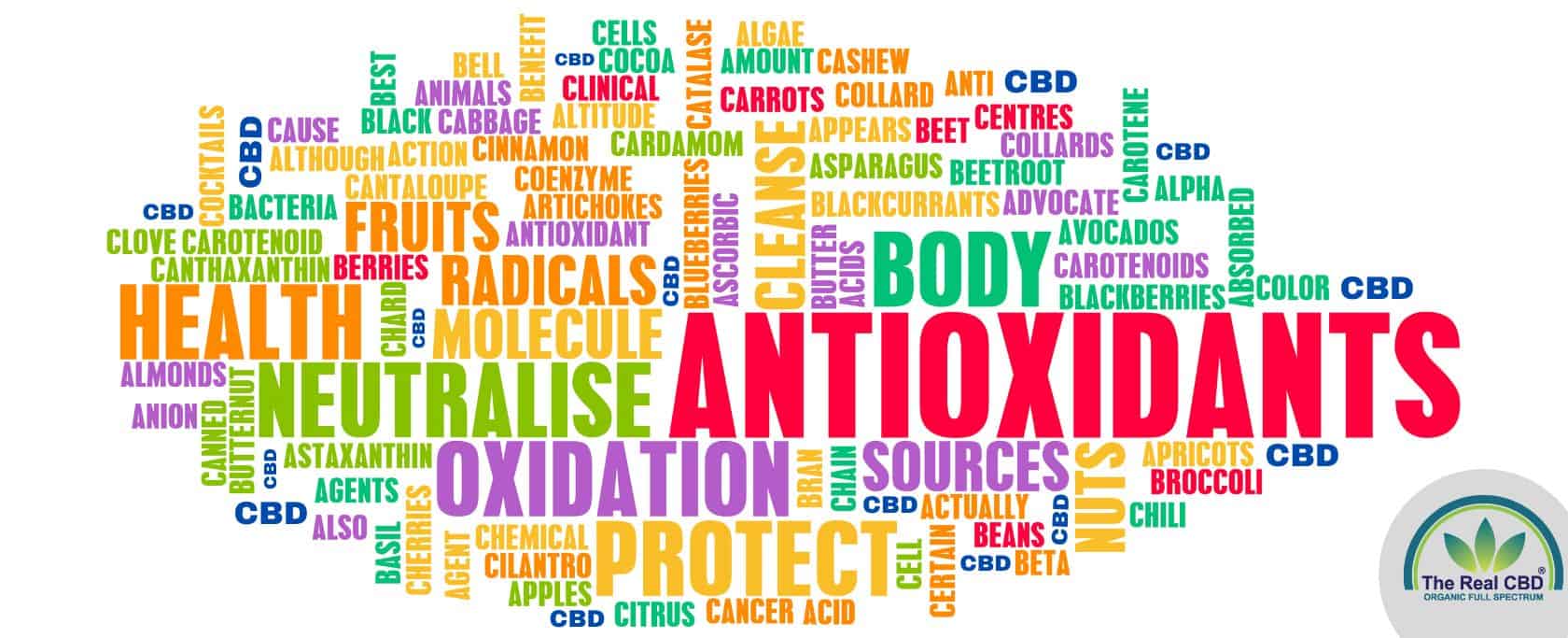 Antioxidant word soup