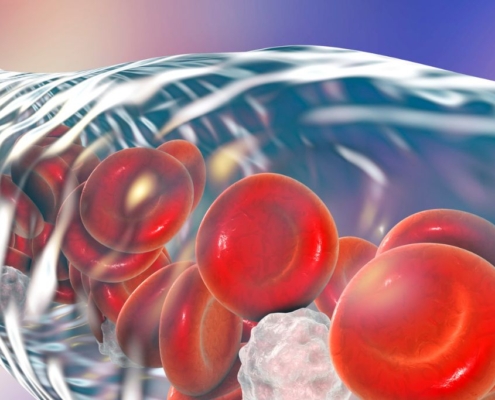 Transparent vain with red blood cells floating