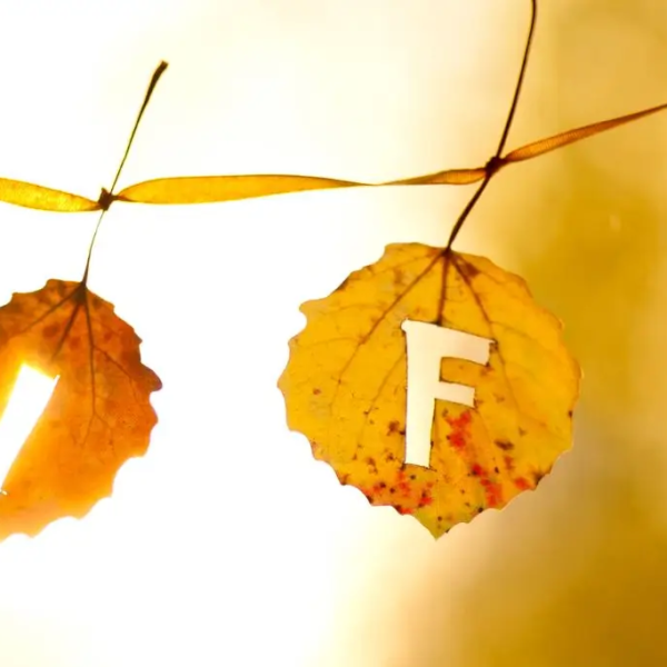 Herbstblätter mit Buchstaben, die LIFE buchstabieren, hängen an einer Leine