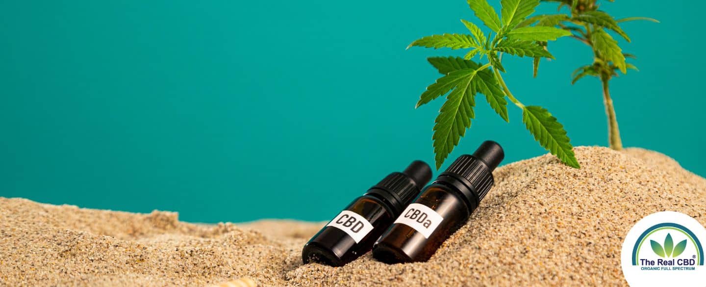 CBD and CBA oil bottles in the sand