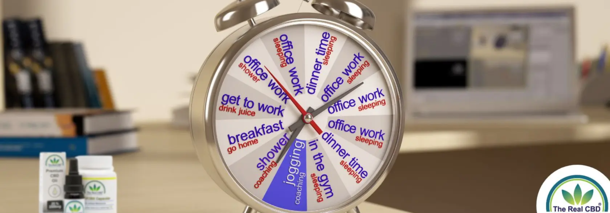 Alarm clock showing daily chores