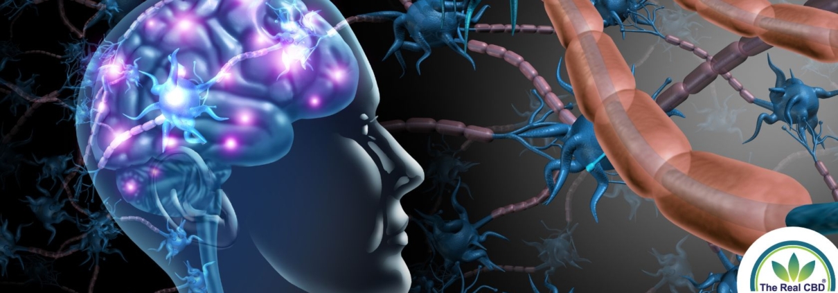 Brain and electric current illustration