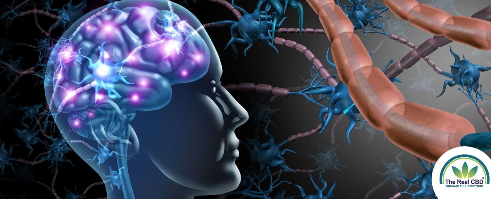 Brain and electric current illustration