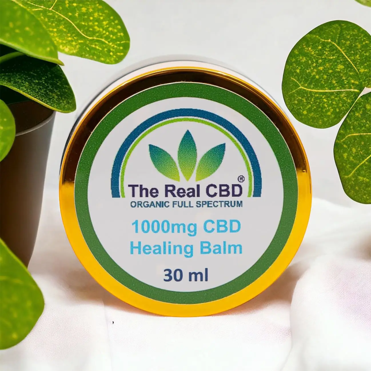 1000mg CBD baume de guérison entouré de feuilles vertes - The Real CBD Brand