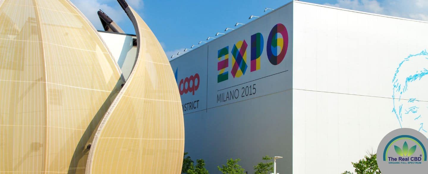 Milan expo hall