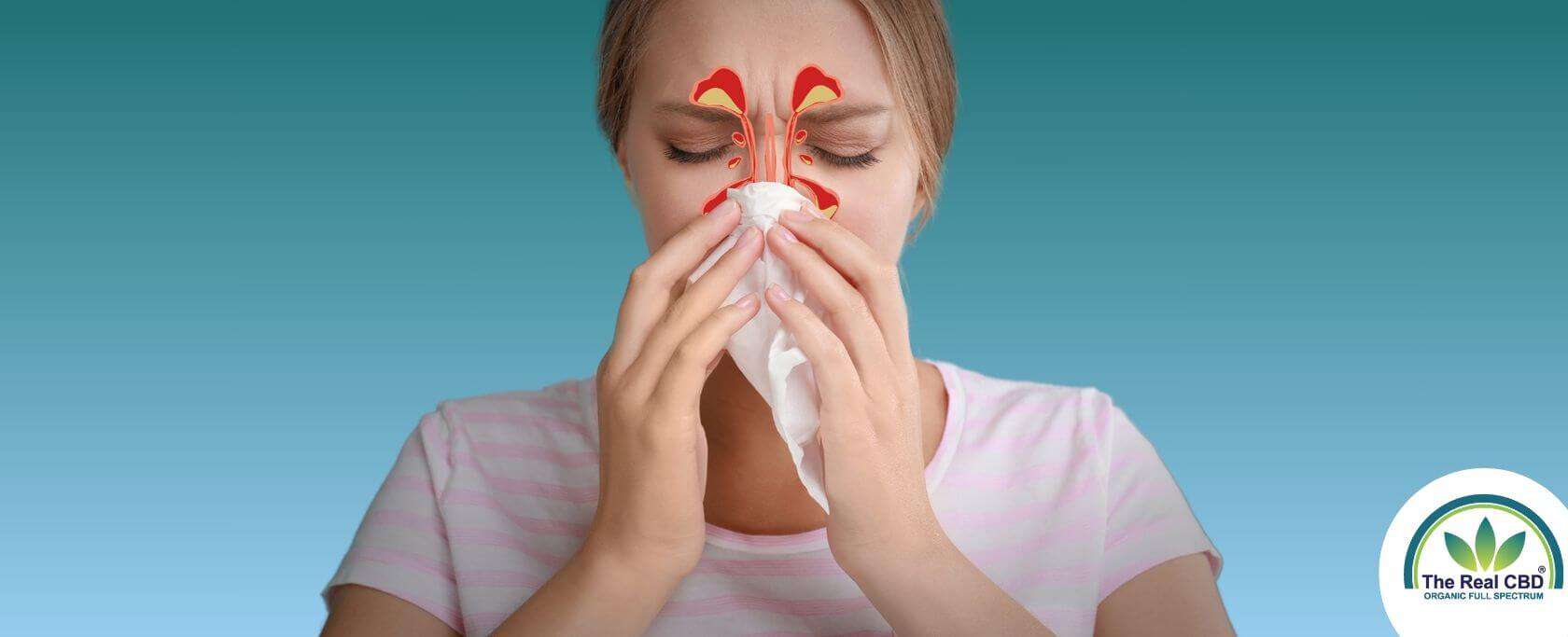 Woman blowing her nose with drawing illustrating her blocked sinuses