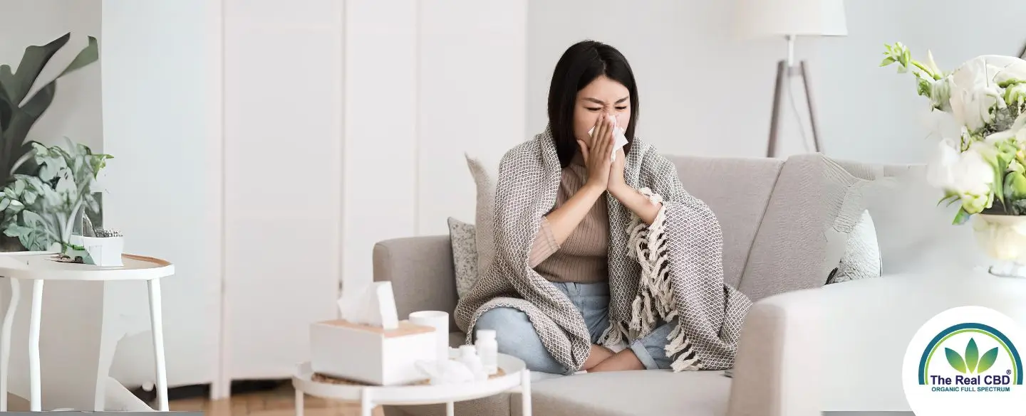 Woman with a clod on the sofa while blowing her nose