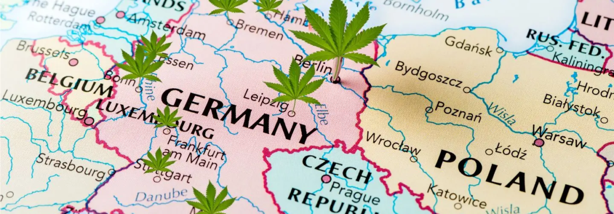 Map of Germany with hemp leaves