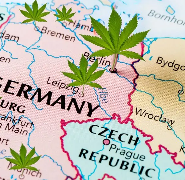 Map of Germany with hemp leaves