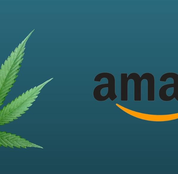 Logo Amazon et feuille de chanvre