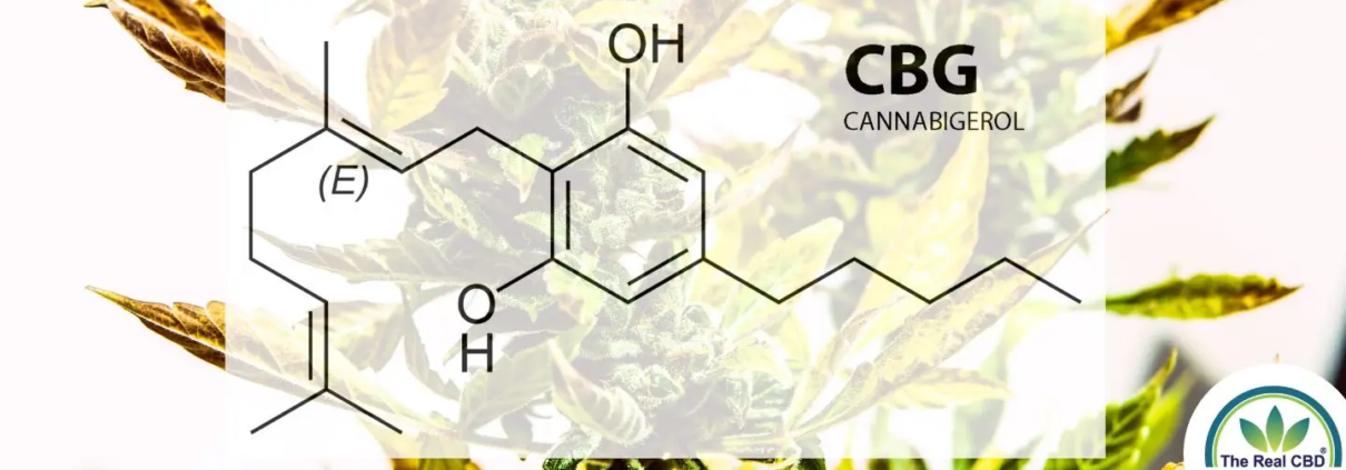 Formule chimique de la CBG