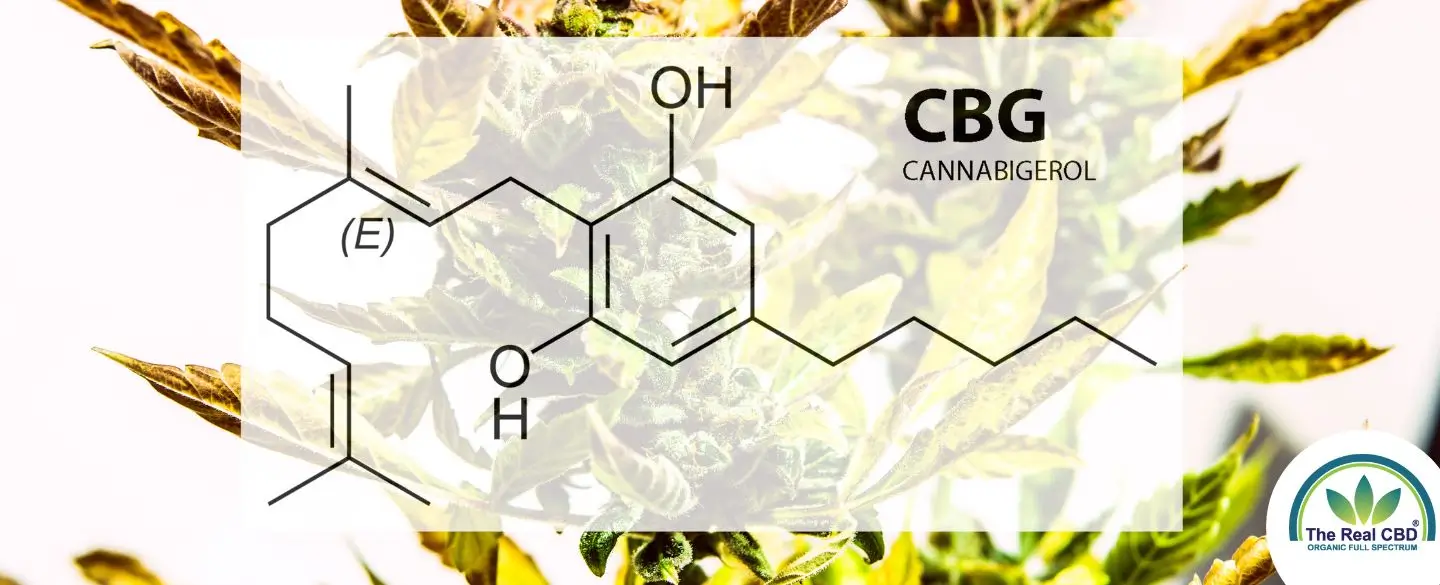 Formule chimique de la CBG