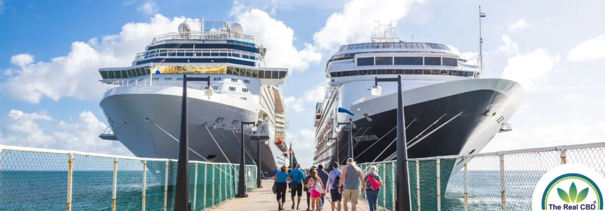 Two big cruise liners with tourist walking towards it